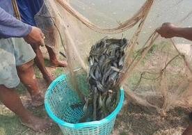 https://www.phnompenhpost.com/business/kampong-cham-dry-fish-firm-eager-scale